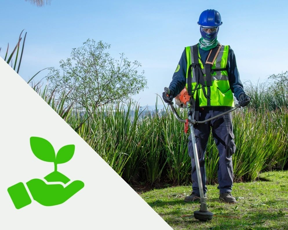 ABP green area maintenance crew at a Guadalajara property